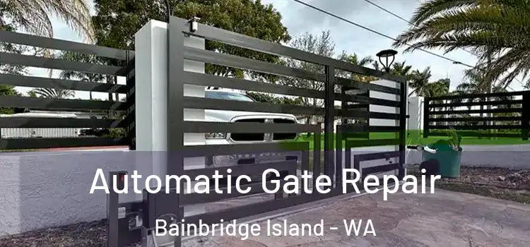Automatic Gate Repair Bainbridge Island - WA