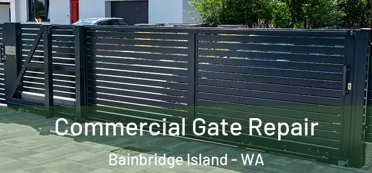 Commercial Gate Repair Bainbridge Island - WA