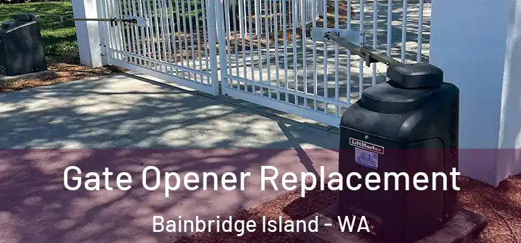 Gate Opener Replacement Bainbridge Island - WA