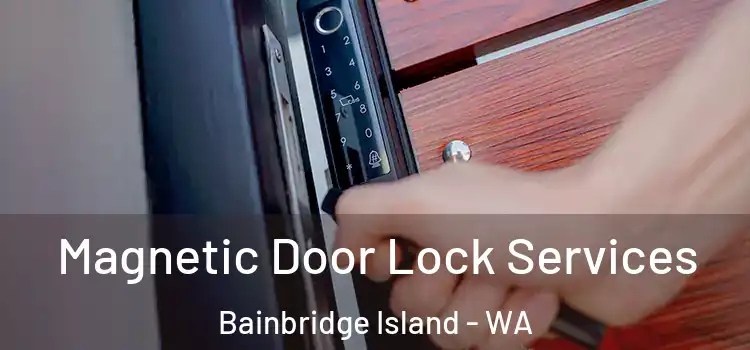 Magnetic Door Lock Services Bainbridge Island - WA